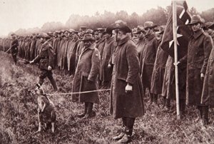 Anzac-arvostelu Salisbury Plainilla: australialainen maskotti, kuvitus The Illustrated War Newsista, 27. syyskuuta 1916 (seepiakuva) tekijältä English Photographer
