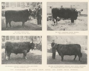 Birmingham Fat Stock Show, kuninkaalliset ja muut palkinnon voittajat tekijältä English Photographer
