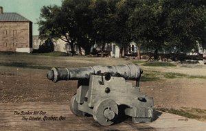 Bunker Hill Gun, Citadel, Quebec (kuva) tekijältä English Photographer