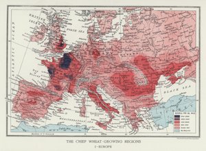 Tärkeimmät vehnänviljelyalueet Euroopassa (kuva) tekijältä English Photographer