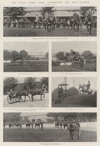 Dublin Horse Show, kilpailijat ja palkinnon voittajat
