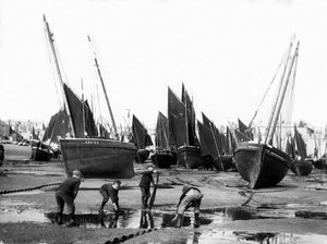 Kalastuslaivasto St Ives Harbourissa, n. 1880-1899 tekijältä English Photographer