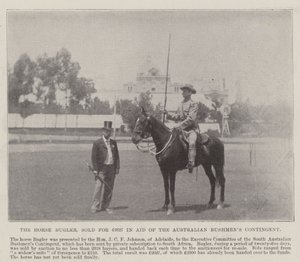 Horse Bugler, myyty 2627 puntaa Adelaidessa sijaitsevassa Australian Bushmens Contingentin avustamassa. Kuvitus The Illustrated London Newsille, 26. toukokuuta 1900 tekijältä English Photographer