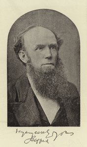 Pastori J Clifford, DD tekijältä English Photographer