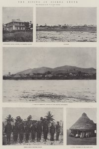 Rising Sierra Leonessa