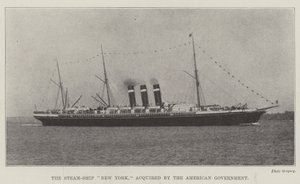 Steam-Ship New York, jonka Yhdysvaltain hallitus osti tekijältä English Photographer