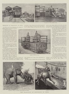 Elefanttien kuljetus Intiassa