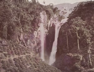 Twin Falls (etualalla kasvava kahvi), Ceylon (värillinen kuva) tekijältä English Photographer