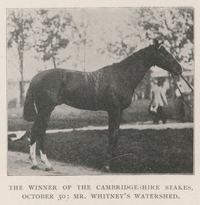 The Winner of the Cambridgeshire Stakes, 30. lokakuuta, herra Whitneys Watershed tekijältä English Photographer