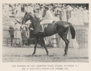 The Winner of the Kempton Park Stakes, 11. lokakuuta, Mr T Kincaids Epsom Lad (Gomez ylös) tekijältä English Photographer