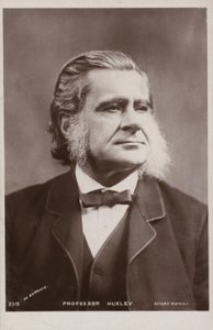 Thomas Henry Huxley (1825-1895, englantilainen biologi tekijältä English Photographer