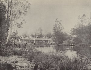 Undercliffe Bridge, Cooks River tekijältä English Photographer