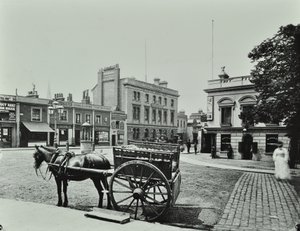 Upper Richmond Road, länteen Putney High Streetistä, jossa näkyy hevosvetoinen ajoneuvo etualalla, 1880 tekijältä English Photographer
