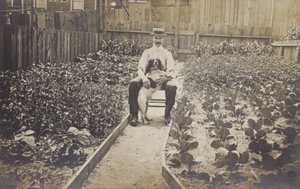 Vihannespuutarha (s/w-kuva) tekijältä English Photographer