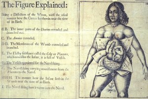 1177 s.19 "The Figure Explained", kaavio kohdusta, Jane Sharpin Lontoosta "Kätilöt Book or The Whole Art of Midwifery Discovered" tekijältä English School