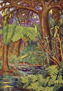 Hiilimetsä (värilitra) tekijältä English School