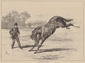 Holtiton nuori (kaiverrus) tekijältä English School