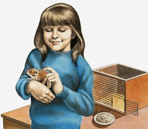 Tyttö ja hänen hamsterinsa tekijältä English School
