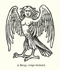 Harpy, siivet paljastettu (kaiverrus) tekijältä English School