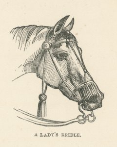 Naisen satula (kaiverrus) (kaiverrus) tekijältä English School