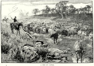 Karjajoukko (kaiverrus) tekijältä English School