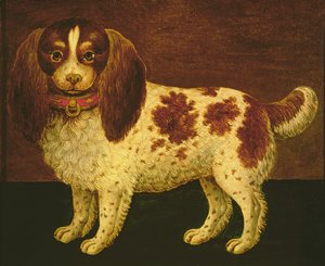 Spanieli