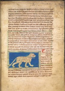 Tiikeri, Sloane 3544, f.2 (pergamentti). tekijältä English School