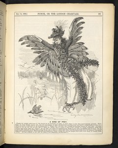 Petolintu, elokuvasta "Punch, or the London Charivari", 14. toukokuuta tekijältä English School