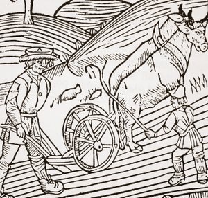 Auraan kiinnitetty härkäpari, otsikkosivu John Fitzherberts Boke of Husbandrysta, ensimmäinen pubi. 1523 tekijältä English School
