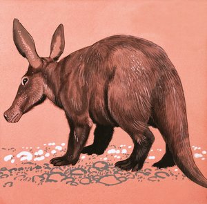 Aardvark tekijältä English School