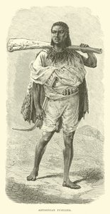 Abessinian fusileer tekijältä English School
