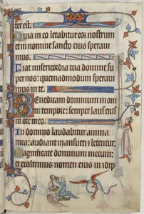 Lisätä. 42130, f.63 Nainen wc:ssä, kuvitus teoksesta "The Luttrell Psalter", n.1321-35 (vellum) tekijältä English School