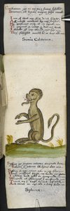 Lisää MS 57312 f.14 -pelikirja (muste ja väri velumissa) tekijältä English School