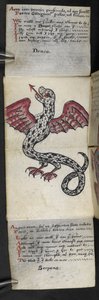 Lisää MS 57312 f.3 -pelikirja (muste ja väri velumissa) tekijältä English School