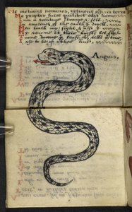 Lisää MS 57312 f.4 -pelikirja (muste ja väri velumissa) tekijältä English School