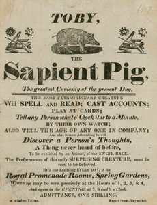 Toby the Sapient Pig -mainos, nykypäivän suurin uteliaisuus tekijältä English School