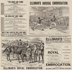 Mainos, Elliman