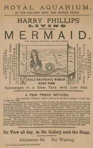Mainos Harry Phillips Living Mythological Mermaid tekijältä English School