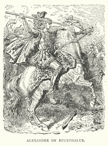 Alexander ja Bucephalus (kaiverrus) (kaiverrus) tekijältä English School