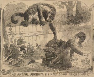 "An Artful Monkey, My Next Door Neighbour", kuvitus "Illustrated Police Newsista", 24. elokuuta 1872 (litho) tekijältä English School