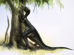 Anatosaurus tekijältä English School