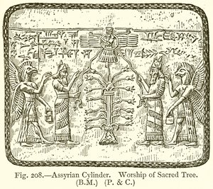 Assyrian sylinteri. Pyhän puun palvonta tekijältä English School