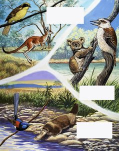 Australian eläinten montaasi tekijältä English School