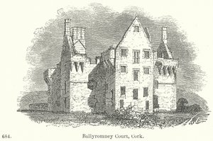 Ballyromney Court, Cork (kaiverrus) tekijältä English School