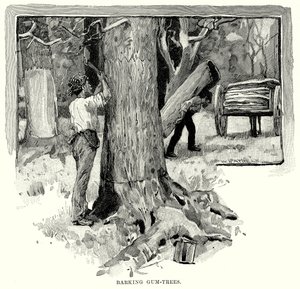 Barking Gum-Trees (kaiverrus) tekijältä English School