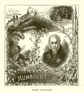 Paroni Humboldt tekijältä English School