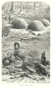 Majavat (kaiverrus) tekijältä English School