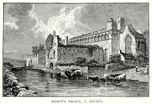 Piispan palatsi, S David