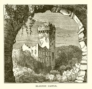 Blarneyn linna tekijältä English School