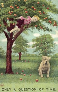 Poika omenapuussa, koira alla odottamassa putoamista (väri litho) tekijältä English School